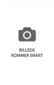 Billede Paa Vej